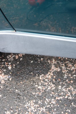 helma.jpg (115.31 KiB) Katsottu 4509 kertaa helma.jpg