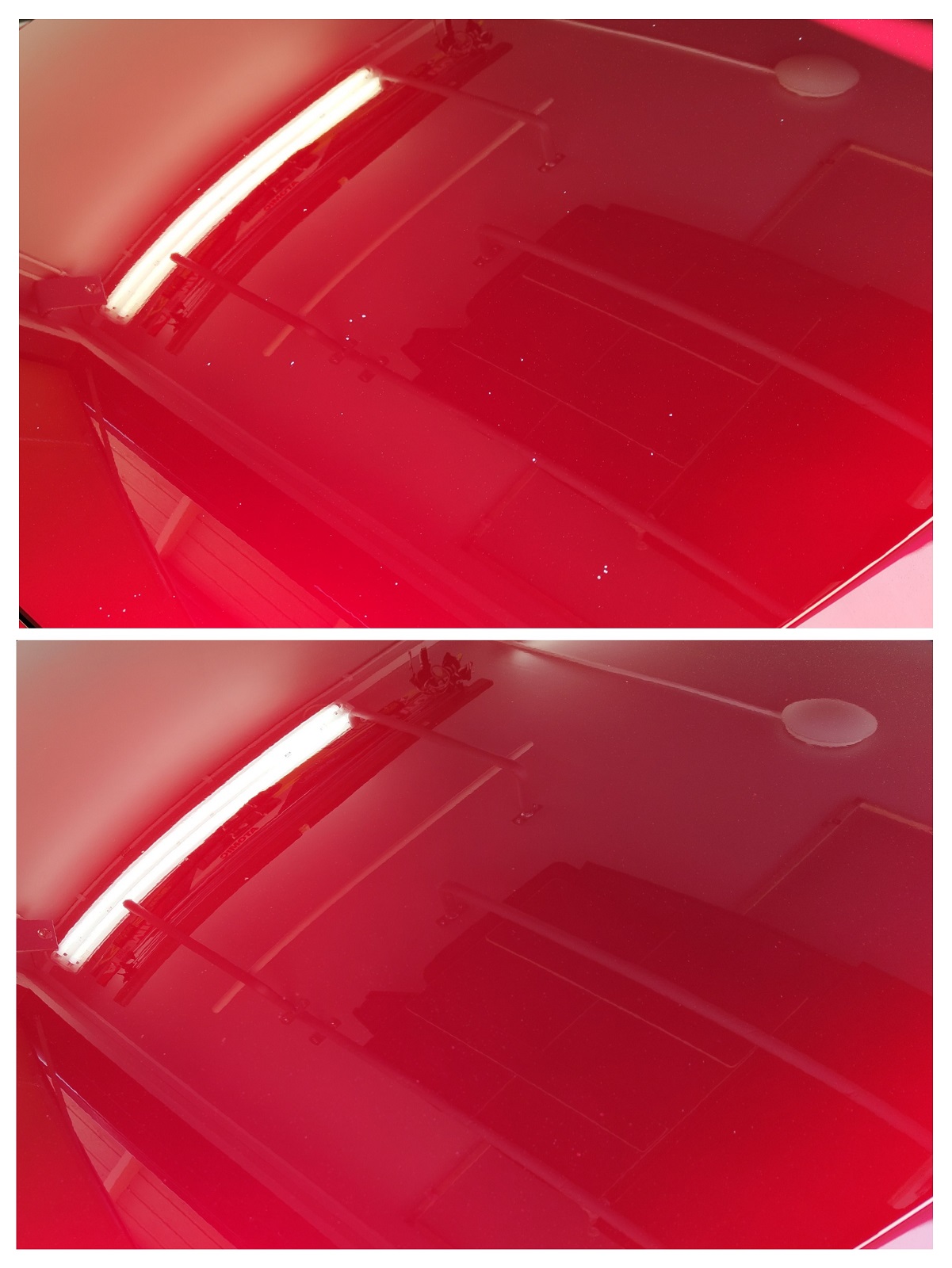 20230607_191128-COLLAGE.jpg